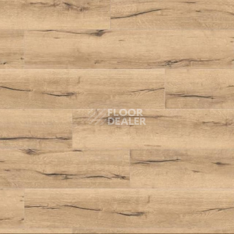 Ламинат Haro Tritty 100 Campus 4V ДУБ ИТАЛИКА КРЕМОВЫЙ 532060 фото 1 | FLOORDEALER